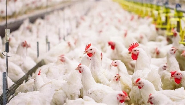 BRVMC0_ba1b8ffa-ba58-4196-96bf-ccc96c6a880c_b